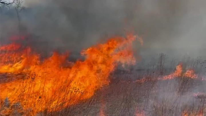 Thumbnail image for Prescribed Burn