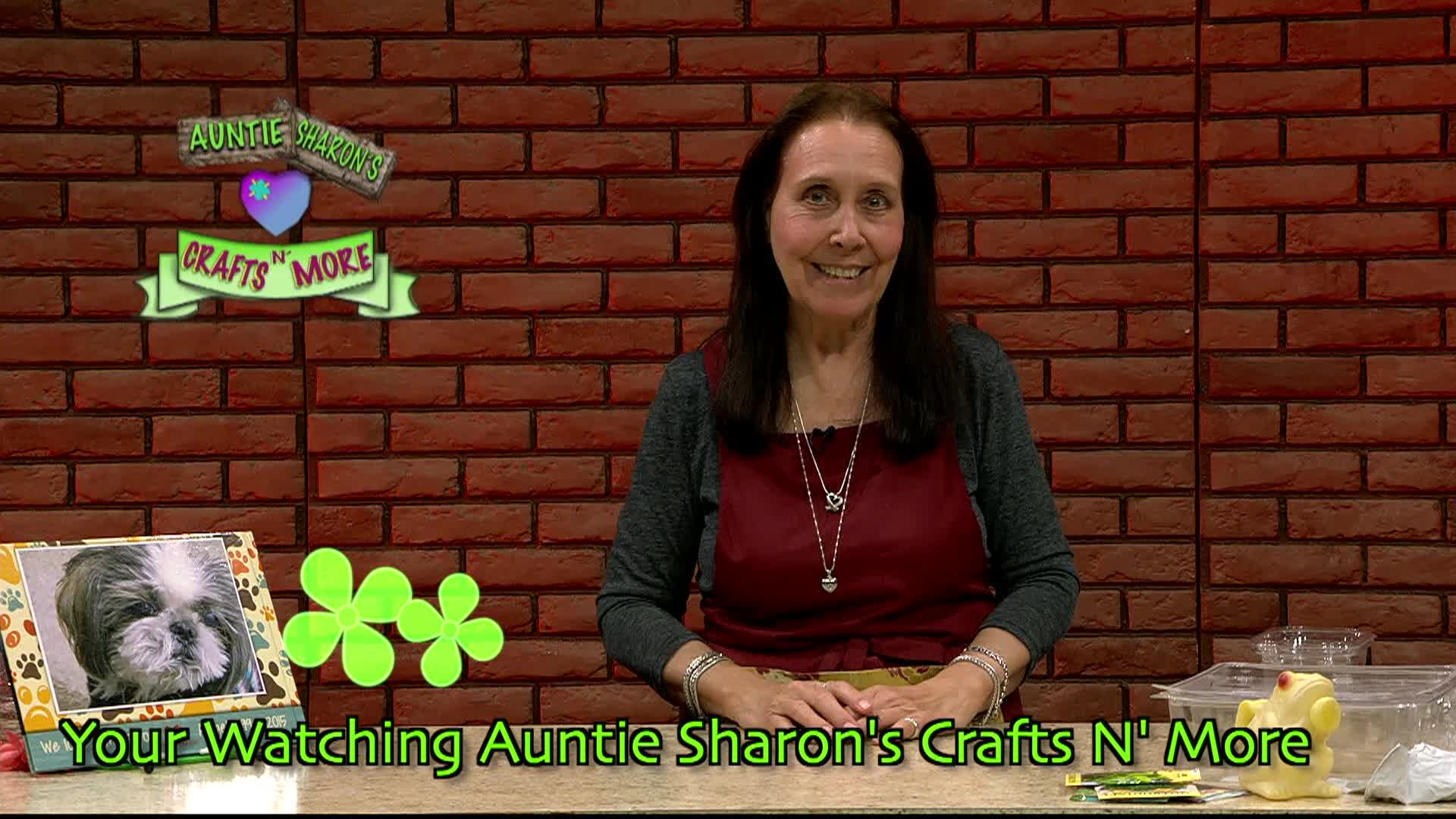 Thumbnail image for Auntie Sharon's Crafts N' More: Repurpose Plastics (Part 2)