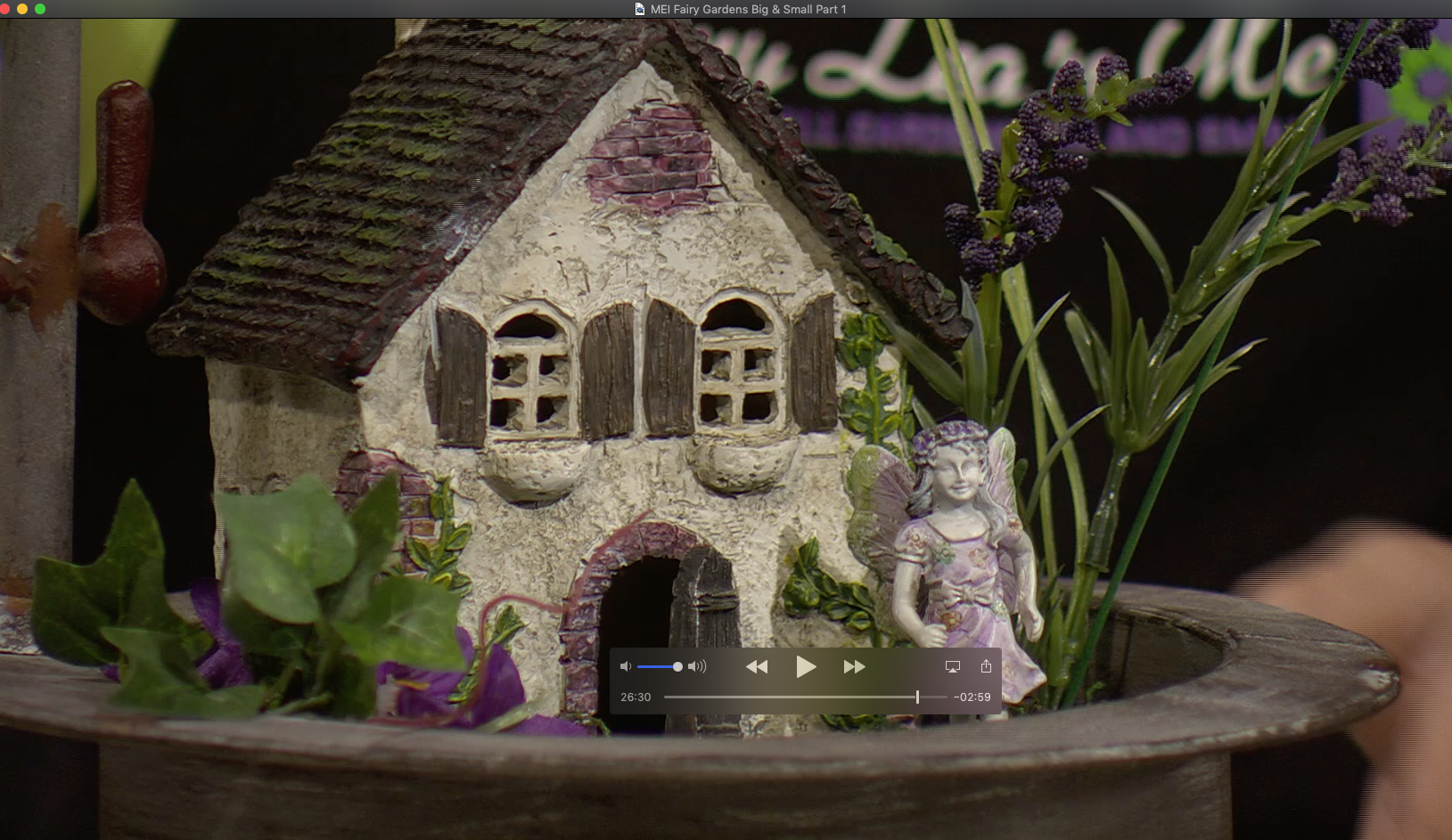 Merry's Eclectic Interests: Fairy Gardens Big and Small Part 1